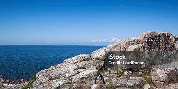 Hovs Hallar - スウェーデンのストックフォトや画像を多数ご用意 - スウェーデン, 夏, 海岸線