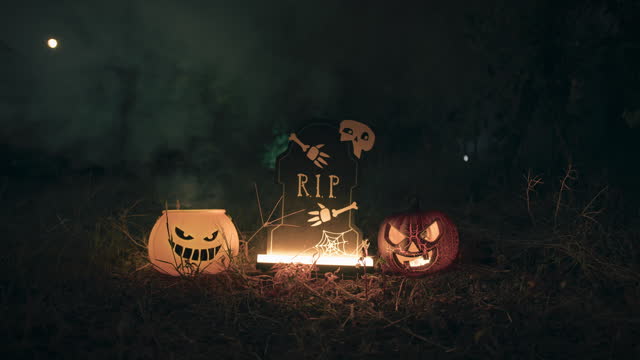 Halloween Pumpkin In The Night Dark Horror Forest