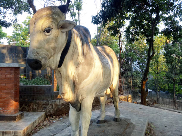 istock A white cow statue with a large body, a standing pose 1705462724