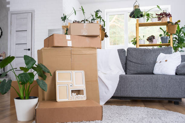 Boxes with things for moving and house plants are in the room of the new house. Housewarming, family property, cargo transportation and delivery of things Boxes with things for moving and house plants are in the room of the new house. Housewarming, family property, cargo transportation and delivery of things Moving stock pictures, royalty-free photos & images