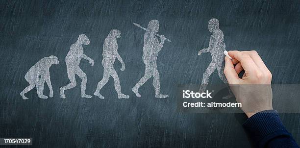 Evolution Is Real Graph Chalkboard Illustration Of Progression Of Evolution Stock Photo ...