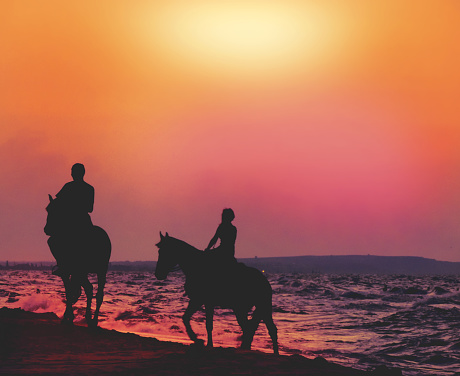 Silhouette of couple riding  horses, romantic walking, honeymoon.  Amazing sunset on the beach