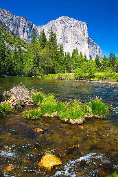 istock Yosemite National Park,California 170550507