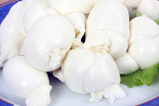 istock Braid of Italian mozzarella 170550605