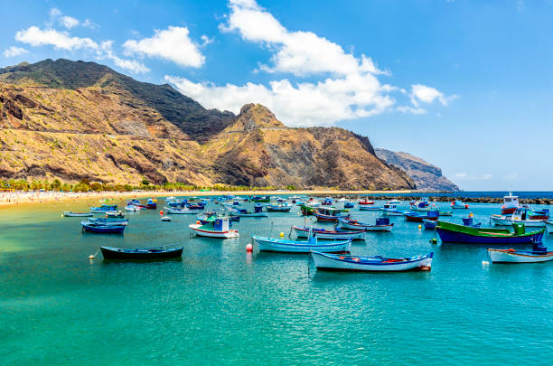 istock Fisher boats  in Tenerife 1705514098