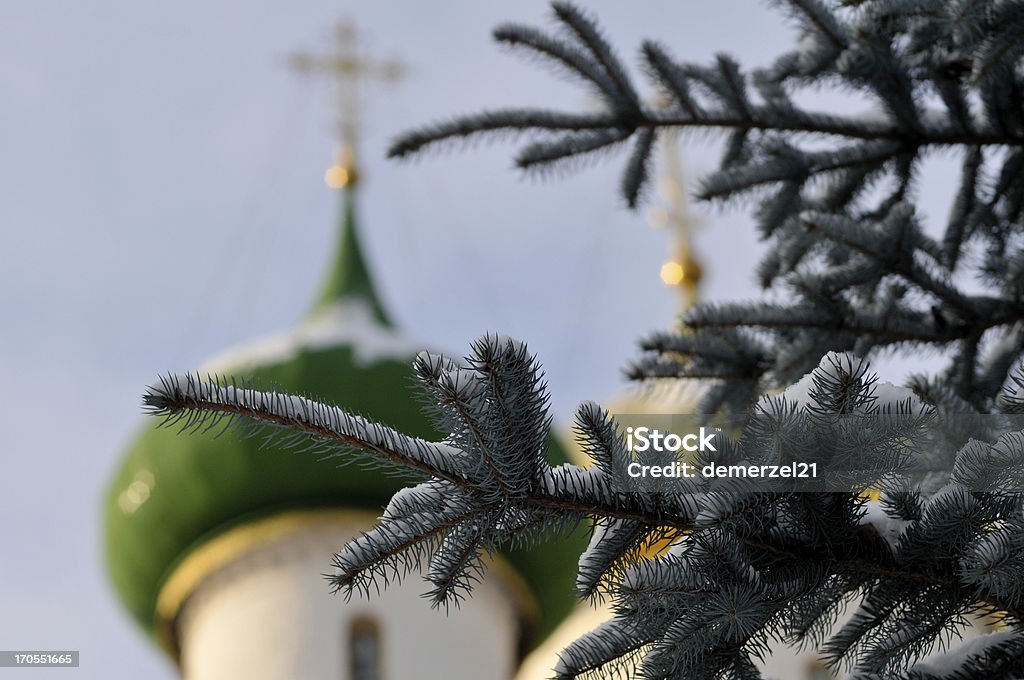 Monastère de Saint Euthymius - Photo de Anneau d'or de Russie libre de droits