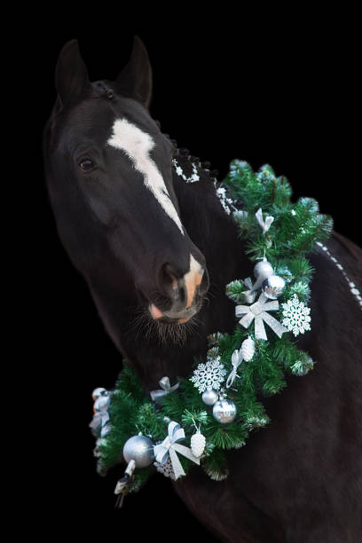 istock Horse in christmas decoration 1705532474