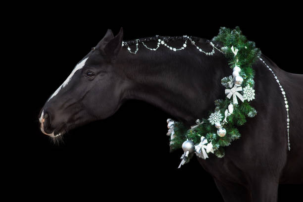 istock Horse in christmas decoration 1705532477