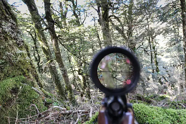 Photo of Staring down a rifle scope