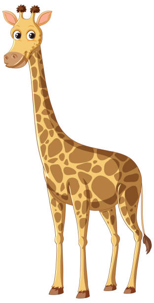 giraffen-zeichentrickfigur isoliert auf weißem hintergrund - animal animal neck cute safari animals stock-grafiken, -clipart, -cartoons und -symbole