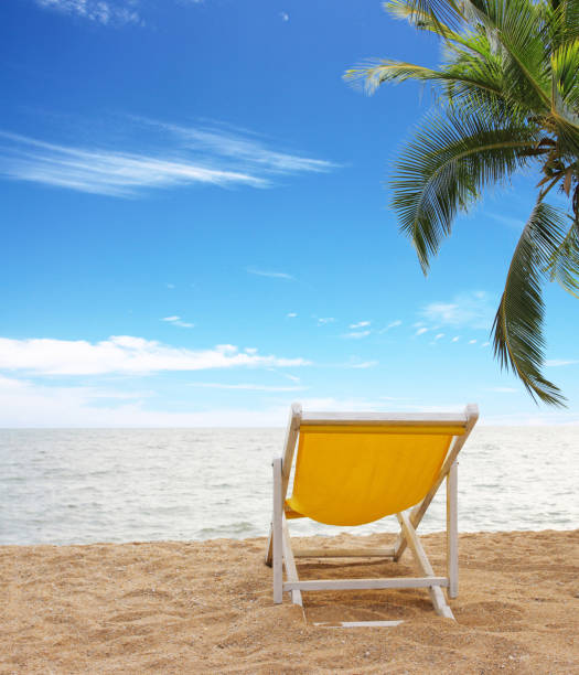 istock Beach chair on the white sand beach and coconut palm tree  with cloudy blue sky 1705549767