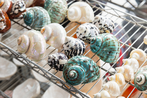 Colorful seashells are on the counter of a gift shop in Victoria, Seychelles
