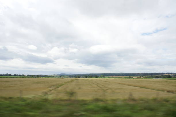 Rural summer scenery farmland landscape view of empty golden colour canola, rape or rapeseed ( brassica napus ) field pattern with cloudy blue sky. Rape plants for green energy and oil industry in South Moravia, Czechia