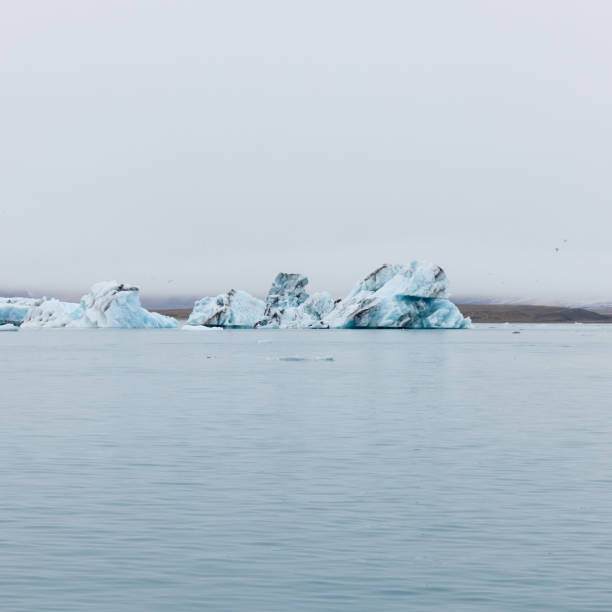 айсберг в исландии. айсберг, впадающий в лагуну джокульсарлон, отделенный от фронта ледника. - natural disaster glacier iceberg melting стоковые фото и изображения