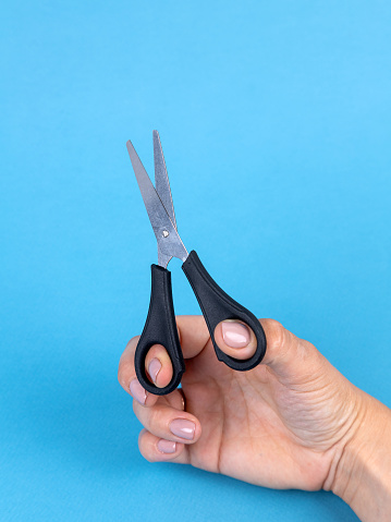 Here are scissors for various purposes.
