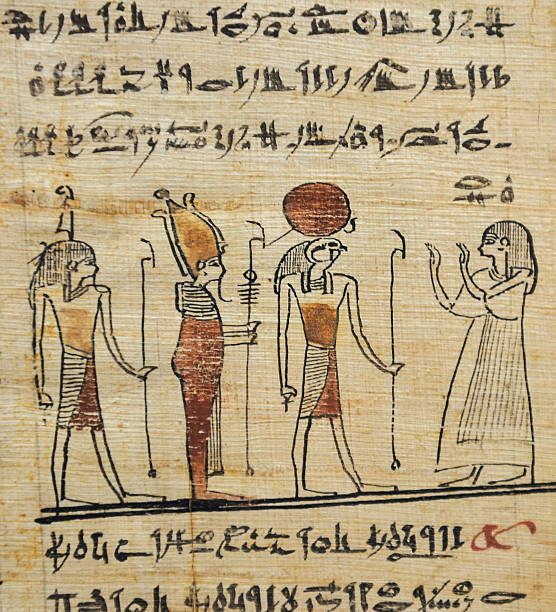 papiro egiziano, libro dei morti - parchment vellum paper textured foto e immagini stock
