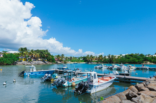 Pointe-a-Pitre, Guadeloupe - October 30, 2022:  Colorful Sailing Boats in the Port of Guadeloupe