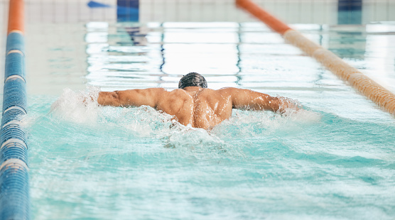 Swimming pool, back and sports person doing stroke practice, cardio exercise or training for triathlon. Water performance challenge, commitment or swimmer workout for competition race in gym club
