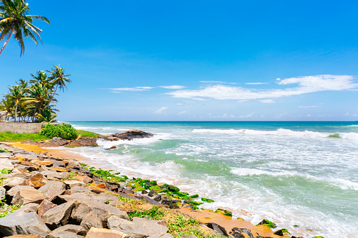 A tropical beach with palm trees and boulders in the foreground. The beach is rocky and has green plants growing on the rocks. The ocean is a clear blue-green color with white waves crashing on the shore. The sky is a bright blue with a few white clouds. There are palm trees on the left side of the photo and a building in the background on the right side. The photo was taken from a low angle, giving a sense of depth and perspective. The photo has a peaceful and serene mood, as it captures the natural beauty of the tropical landscape.