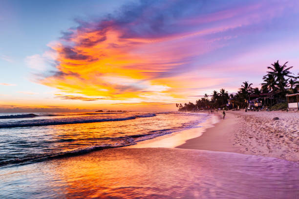 istock Tropical sand beach at sunset with palm trees in Hikkaduwa. 1705657476