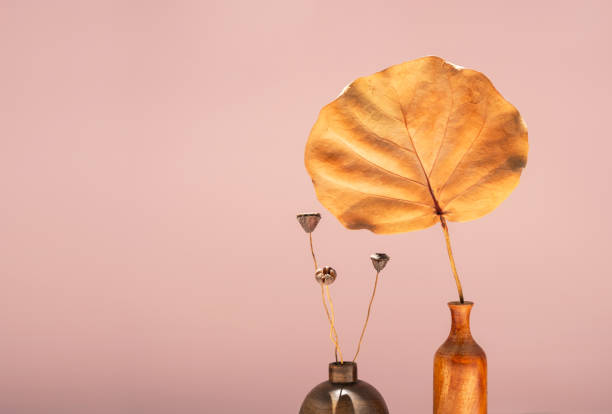 Autumn leaf and dried flowers in vase. Fall mood composition.