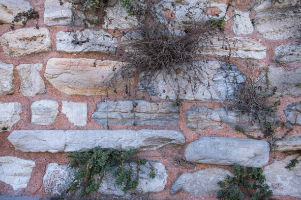 historic stone wall. rough, old and worn ancient surface. plants on the wall.