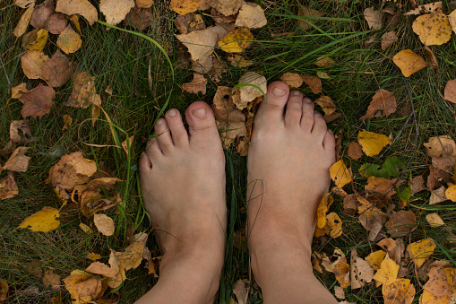 bare female feet on autumn yellow foliage. Barefoot on the grass in the forest