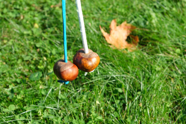 jeu de conkers. une châtaigne sur une corde en frappe une autre. jeu traditionnel pour enfants joué à l’aide de graines de marronniers d’inde - racket string photos et images de collection