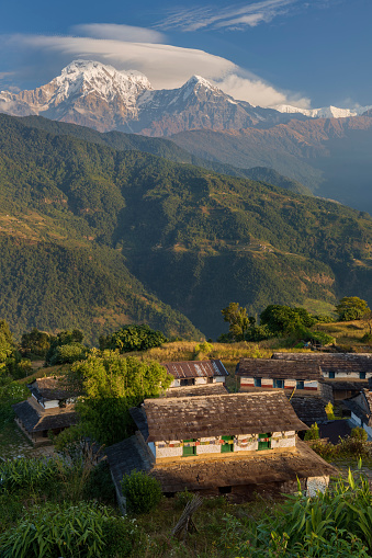 Morning in Gurung village, Annapurna and Machhapuchhare on background. The Annapurna region is in western Nepal where some of the most popular treks (Annapurna Sanctuary Trek, Annapurna Circuit) are located. Peaks in the Annapurnas include 8,091m Annapurna I, Nilgiri and Machhapuchchhre. The Annapurna peaks are among the world's most dangerous mountains to climb.