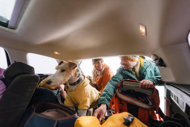 istock Smiling couple preparing for a snowy hike 1705696048