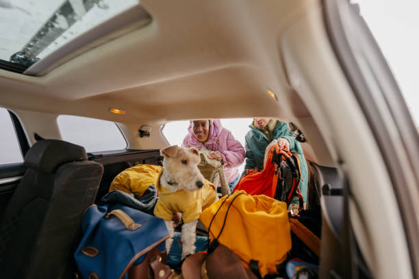 istock Smiling couple preparing for a snowy hike 1705696055