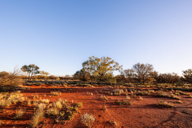 The australian outback Red centre Australian desert northern territory australia stock pictures, royalty-free photos & images