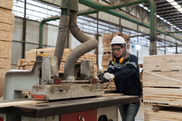 istock Female carpenter factory worker using wood rolling machine for process timber at manufacturing lines in wooden warehouse storage plant 1705756048