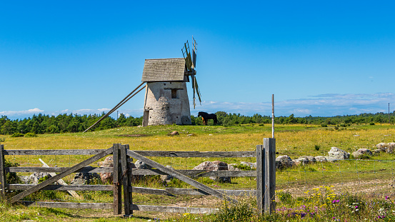 A couple of horses seeking shade behind an old windmill located close to Burgsvik on the island of Gotland