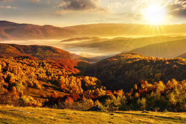 istock cold fog in carpathian rural valley at sunset 1705763474