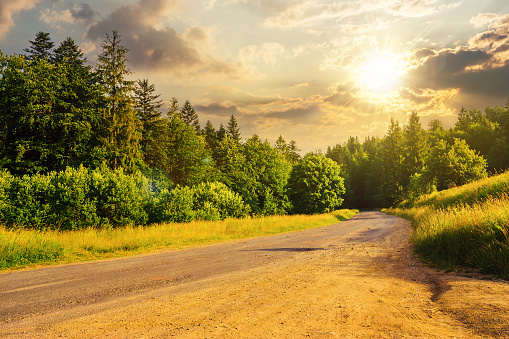 asphalt road with cracks passes through the green shaded coniferous forest at sunset. beautiful countryside scenery in evening light