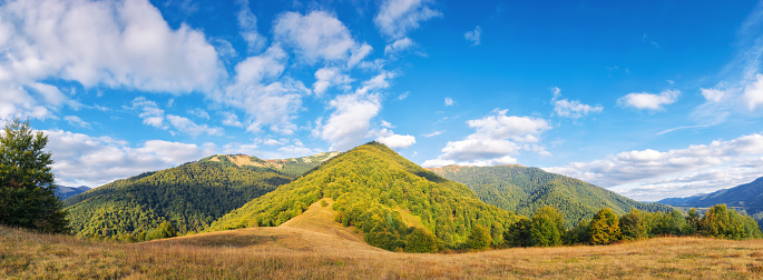 landscape with grassy meadows. distant mountain ridge beneath a sky with clouds. beautiful panoramic scenery of carpathian countryside on a sunny day in early autumn
