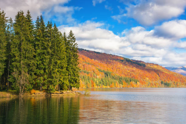 istock forest in bright fall colors on the shore of a lake 1705765830