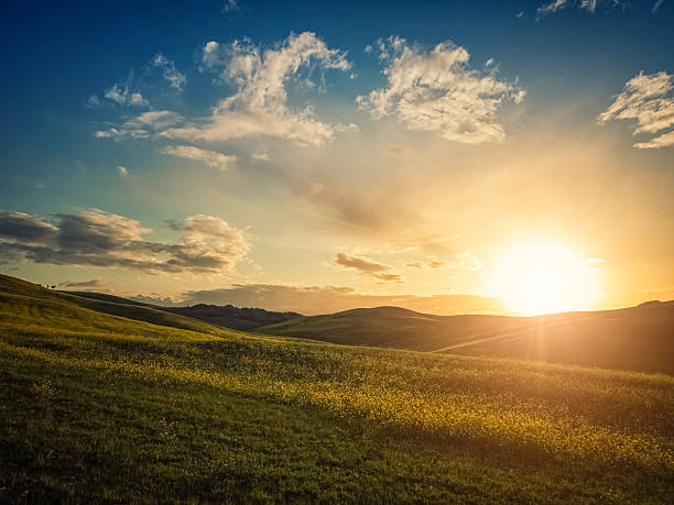 istock Landscape in Tuscany at sunset 170578908
