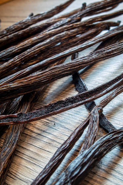 istock a collection of vanilla on the table 1705793013