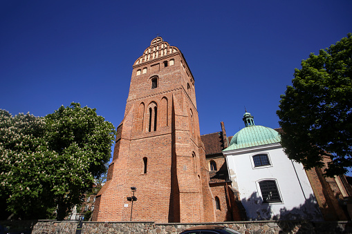 West end and tower of Corpus Christi Church, Kazimierz district, Kraków, Poland, afternoon sunlight, autumn, tree