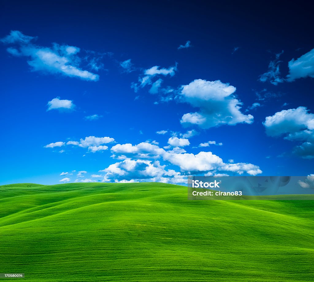 Grünen Gras und blauer Himmel mit weißen Wolken - Lizenzfrei Anhöhe Stock-Foto