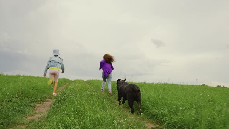 children running in a field with a Labrador dog