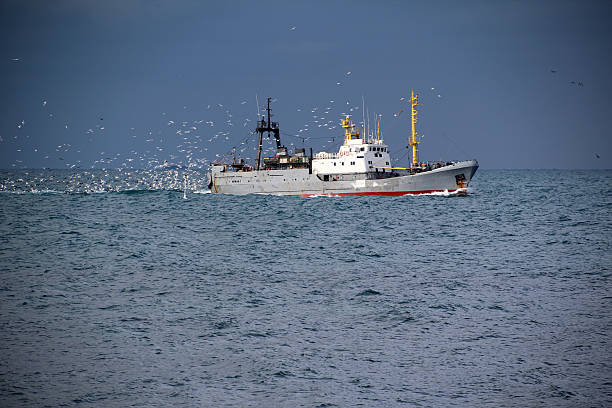 istock fishing boat and the seagulls 170585068