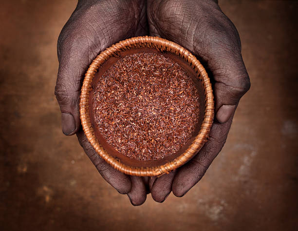 Hands holding a bowl with rooibos tea stock photo