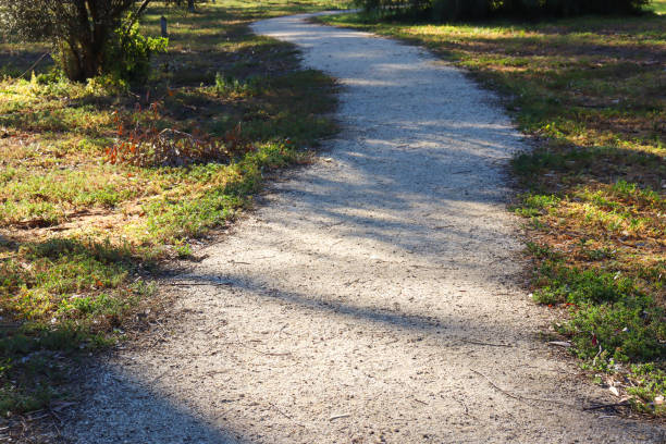 istock curving pathway in bushland in morning light 1705877064
