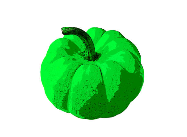 Close up view of one pumpkin in the sunset