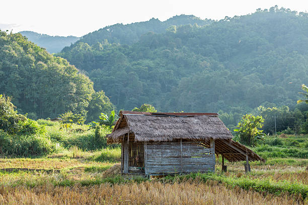 istock Old wooden mountain farmer hut with landscape 170589879