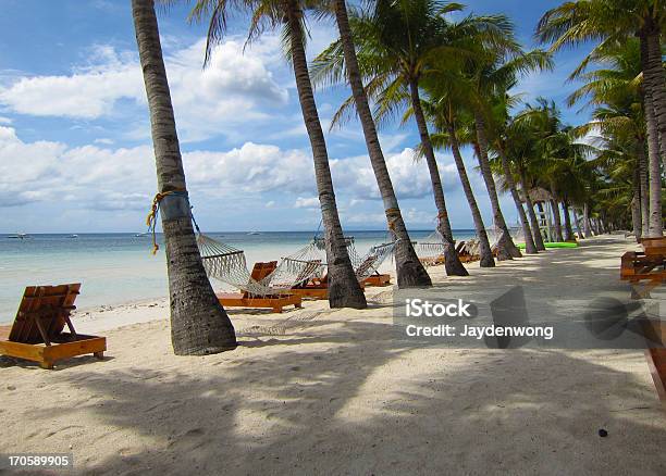 Bohol Spiaggia Di Albero Di Cocco Percorso - Fotografie stock e altre immagini di Albero - Albero, Amaca, Bassa marea