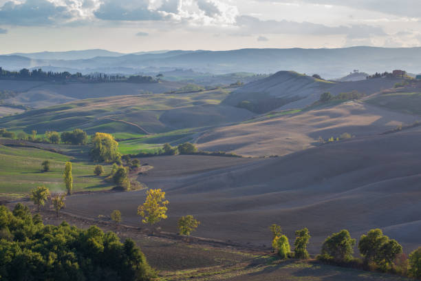 istock Rural landscape. Beautifully illuminated farmlands. 1705913240